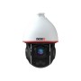 Z7-37IPEN-4(IR) :: Telecamera IP 2MP Rilevamento-Automatico PTZ DDA